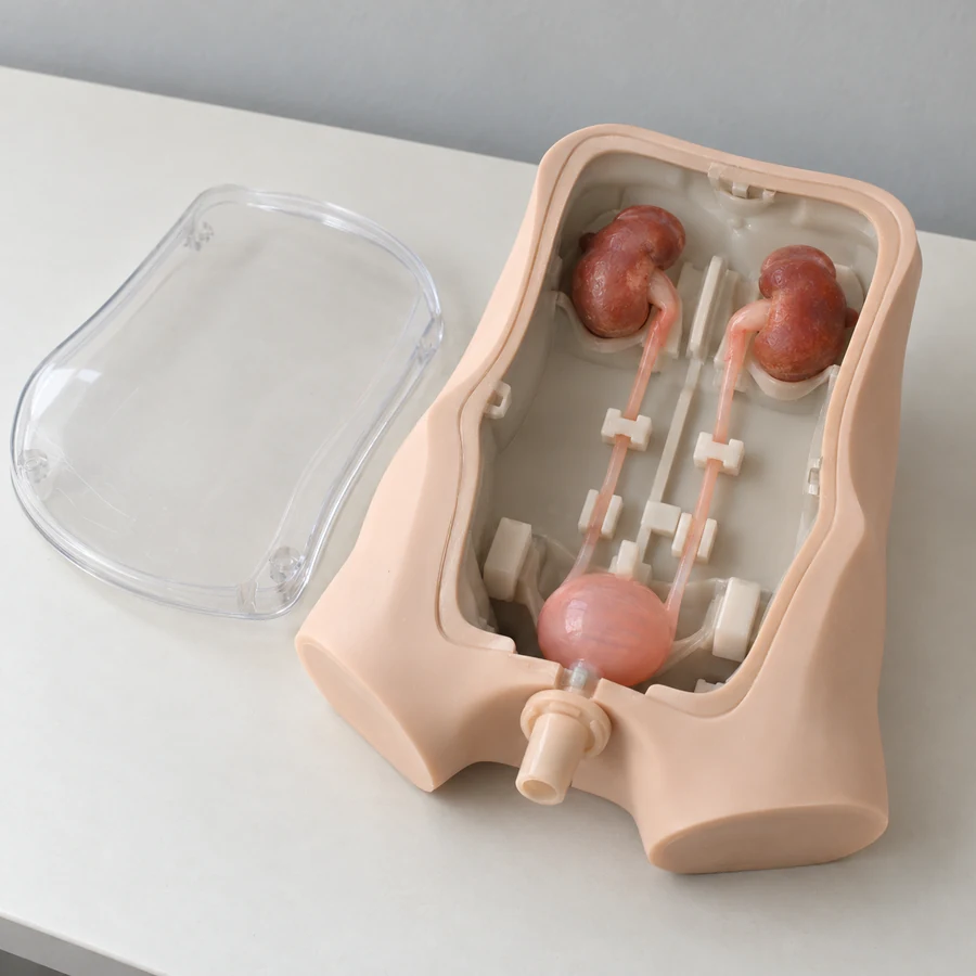 Illustrative product configuration: Custom Medical Models